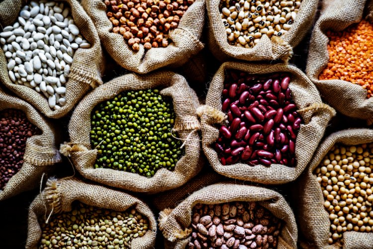 Exploring the Health Benefits of Legumes: A Comprehensive Guide